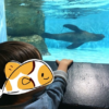【画像あり】アクアパーク品川の子連れレポ！1歳10ヶ月の息子の楽しみ方♪