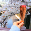 【画像あり】目黒川の桜と屋台レポ！中目黒周辺で食べ歩きしてみた（１）